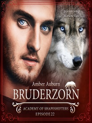 cover image of Bruderzorn, Episode 22--Fantasy-Serie